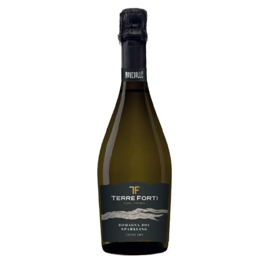 Terre Forti - White sparkling extra dry wine Romagna DOC - 750ml